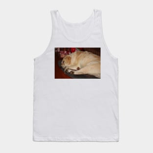 A Christmas Nap Tank Top